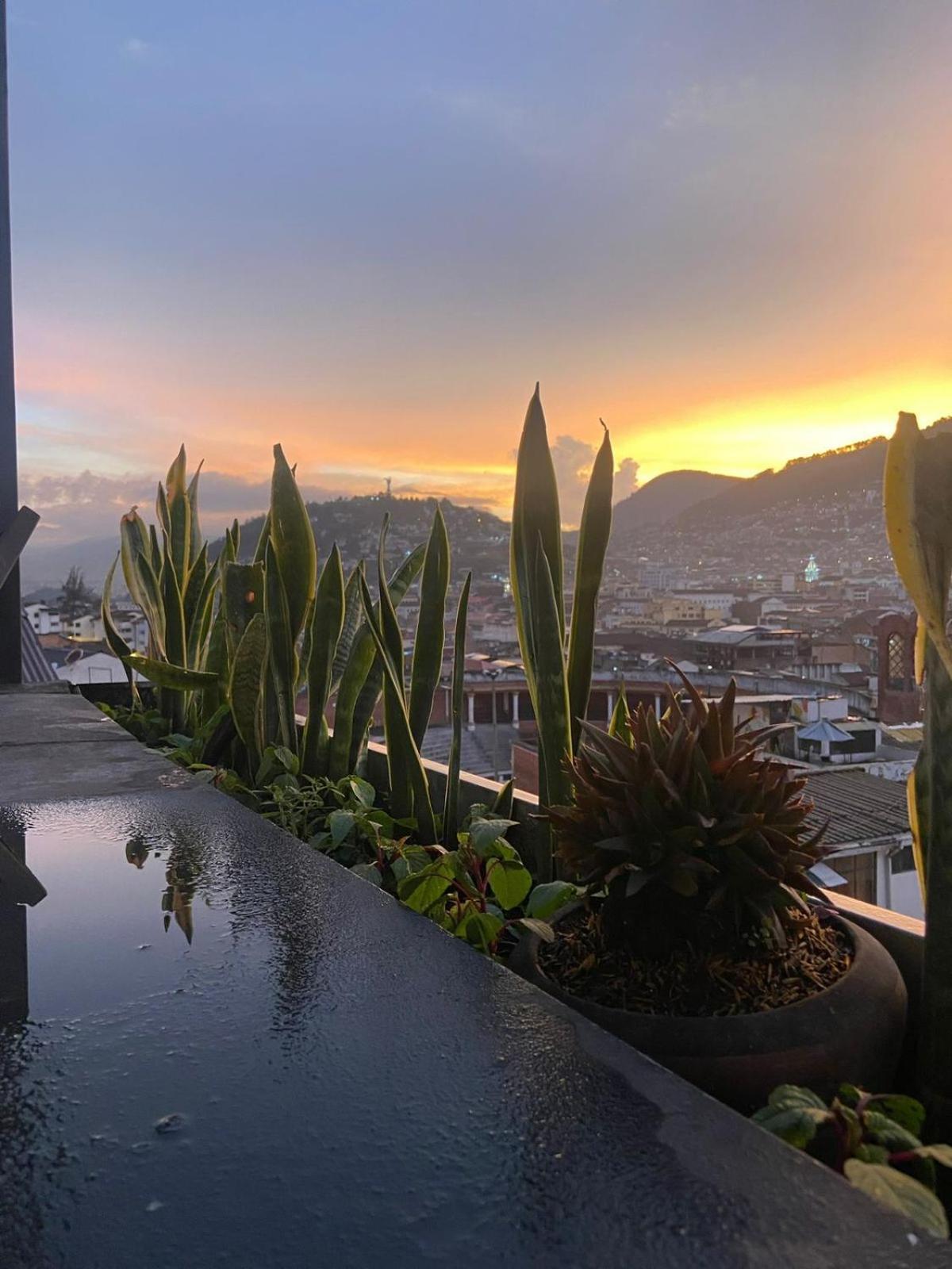 Hostal La Guayunga Rooftop Quito Bagian luar foto
